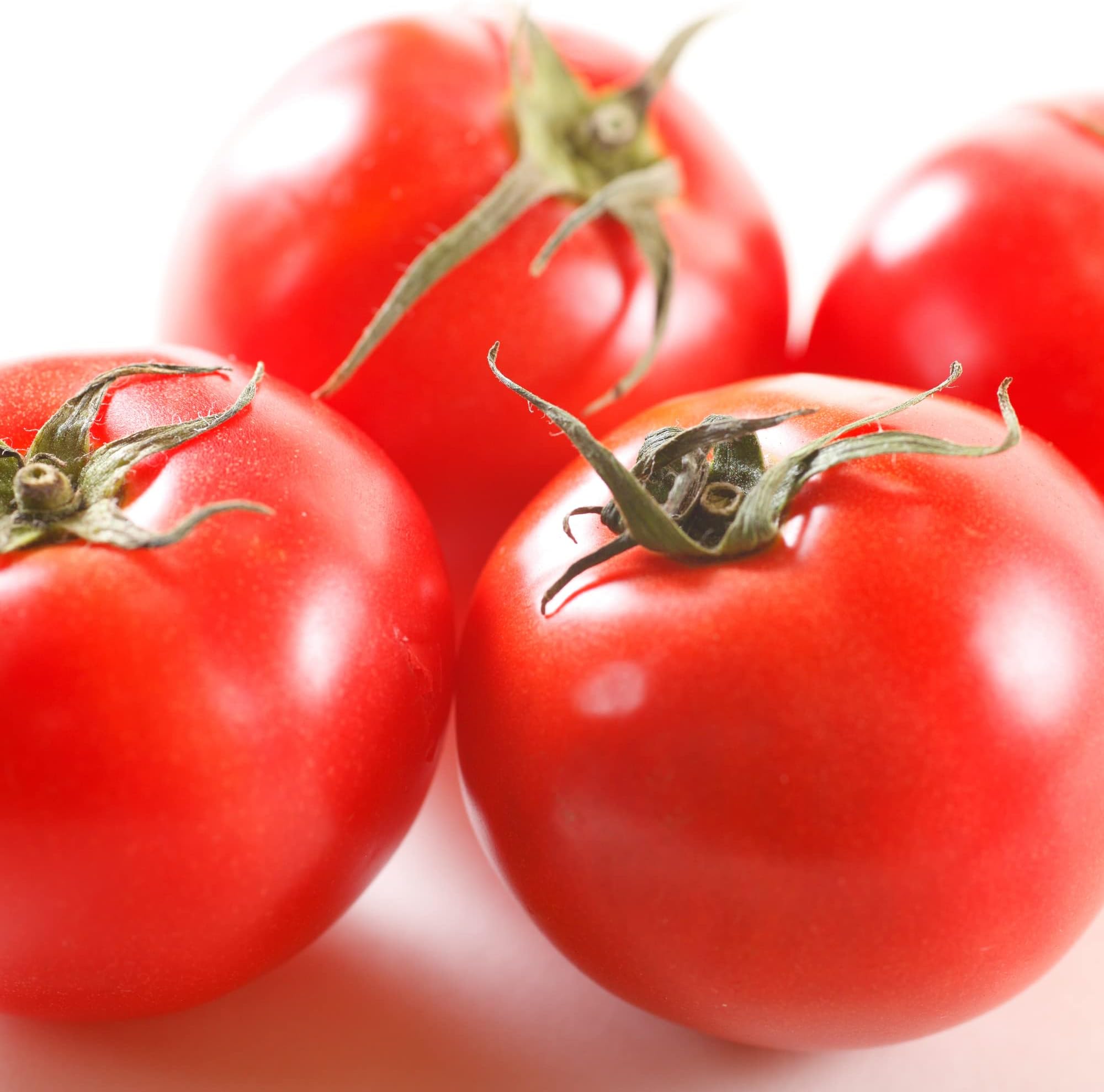 Gardeners Kitchen Tomato Plants 'F1 Shirley' 3 X 9cm pot