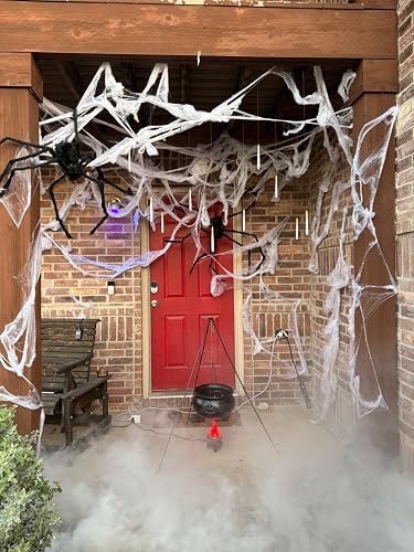 Review Image by Ryan Ross