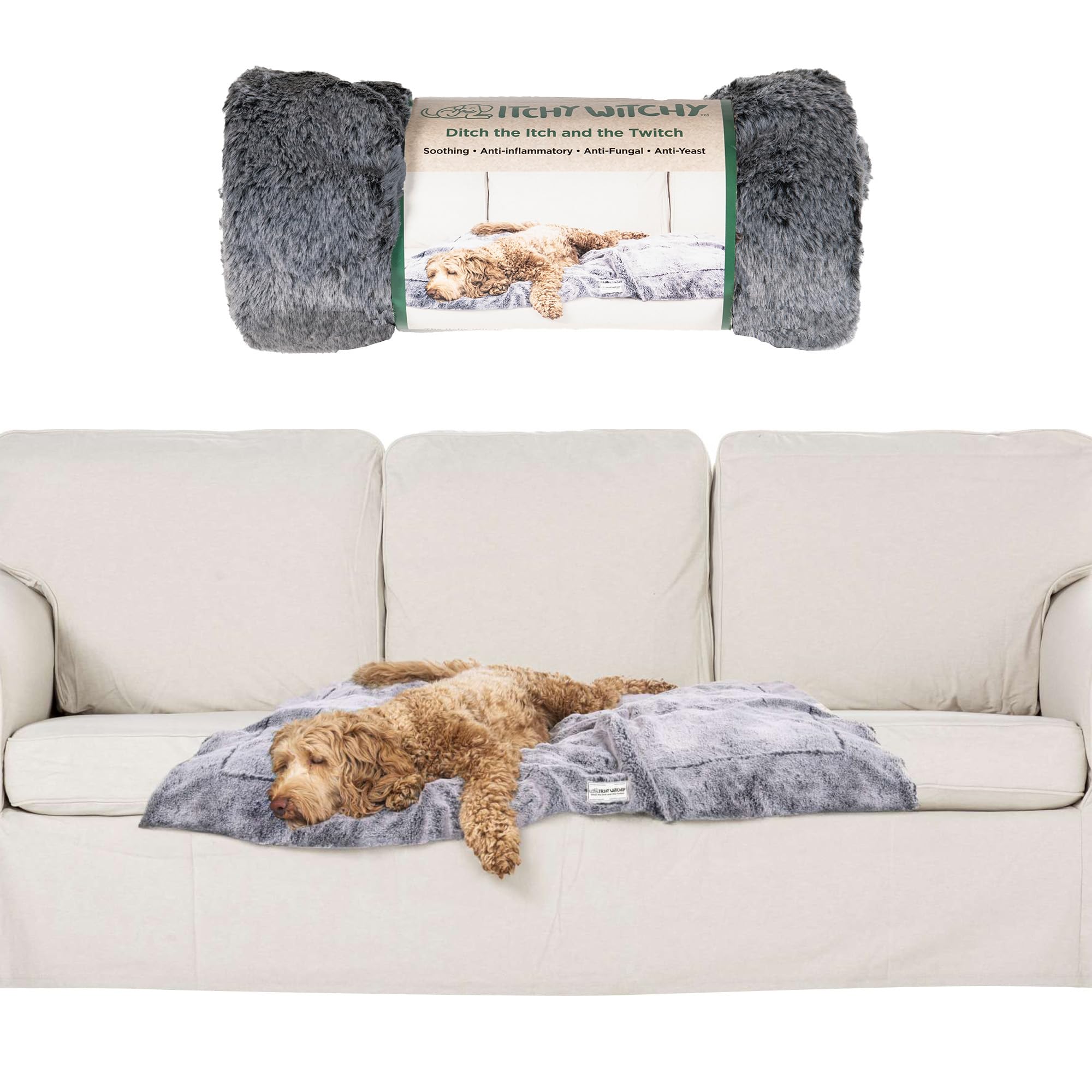Dog Gone Smart Itchy Witchy Blanket