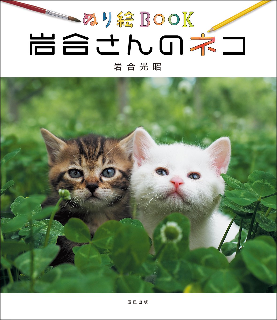 ５冊セット　岩合光昭・猫姿白描画譜・にゃんとも猫だらけ・猫アート・nekolt Amazon.co.jp: ぬり絵BOOK 岩合さんのネコ : 岩合 光昭: 本