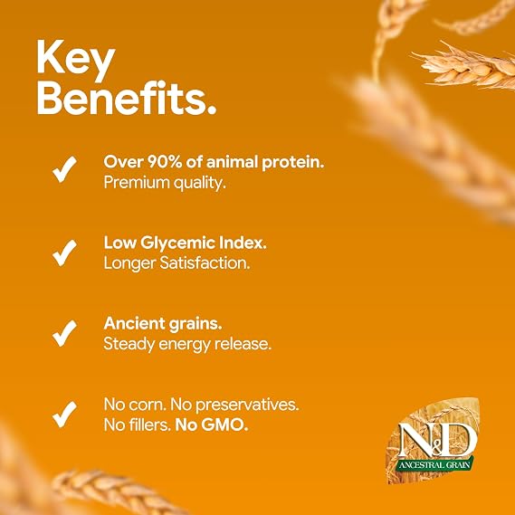 N&D Ancestral Grain Köpek Kuzu, Kılçıksız Buğday, Yulaf & Yabanmersini Yetişkin Mini 2.5 kg