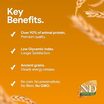 N&D Ancestral Grain Köpek Kuzu, Kılçıksız Buğday, Yulaf & Yabanmersini Yetişkin Mini 2.5 kg