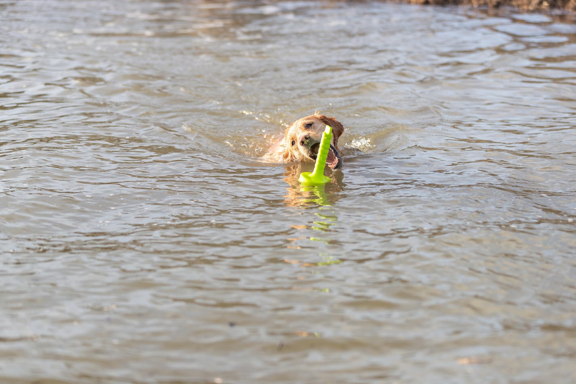 TRIXIE aqua Toy Mot-Aqua jouet aquatique flottant pour chien, 29 cm – jouet pour lancer & rapporter, idéal pour jouer dans l'eau & stimuler l'activité physique