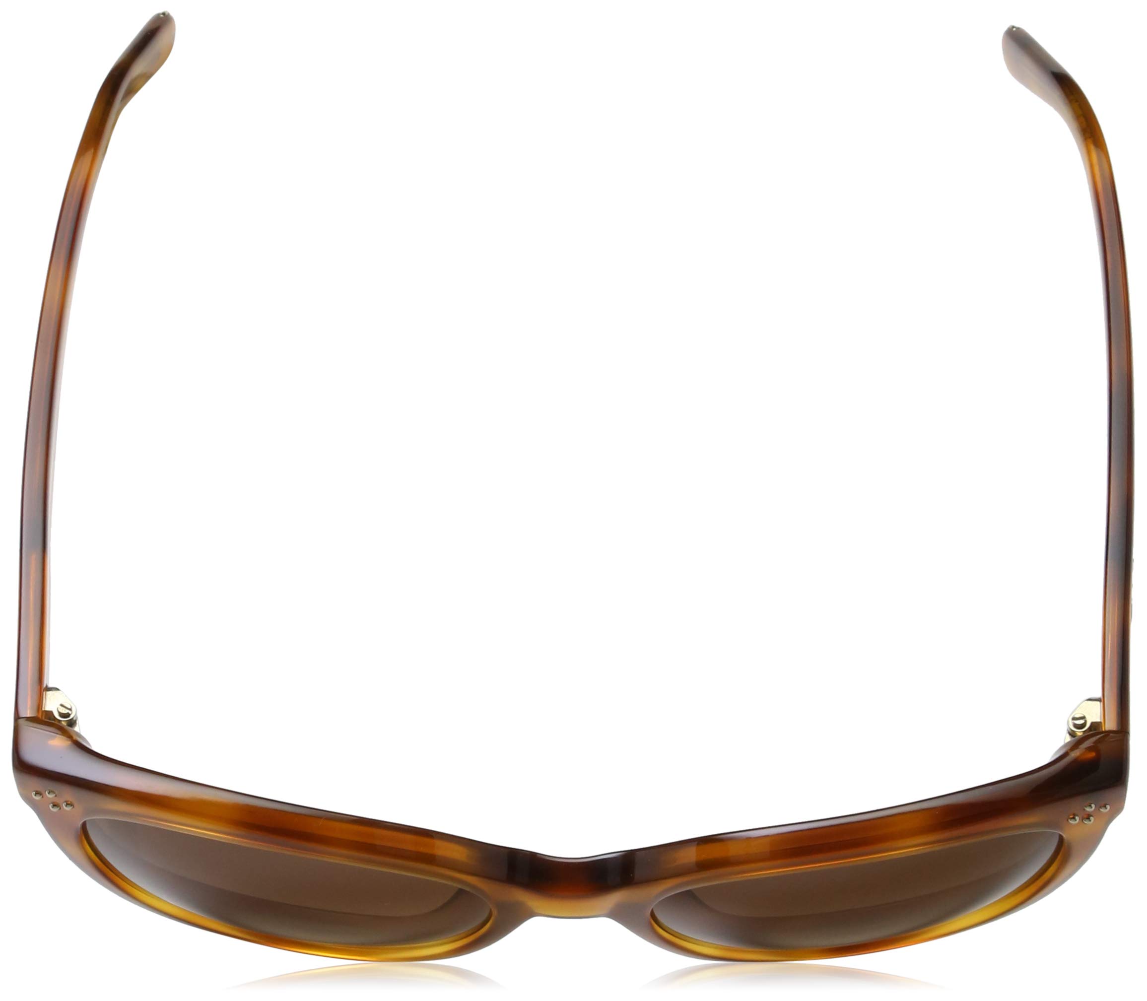 Chloe Womens Ce705s 725 Sunglasses | Desertcart Aruba