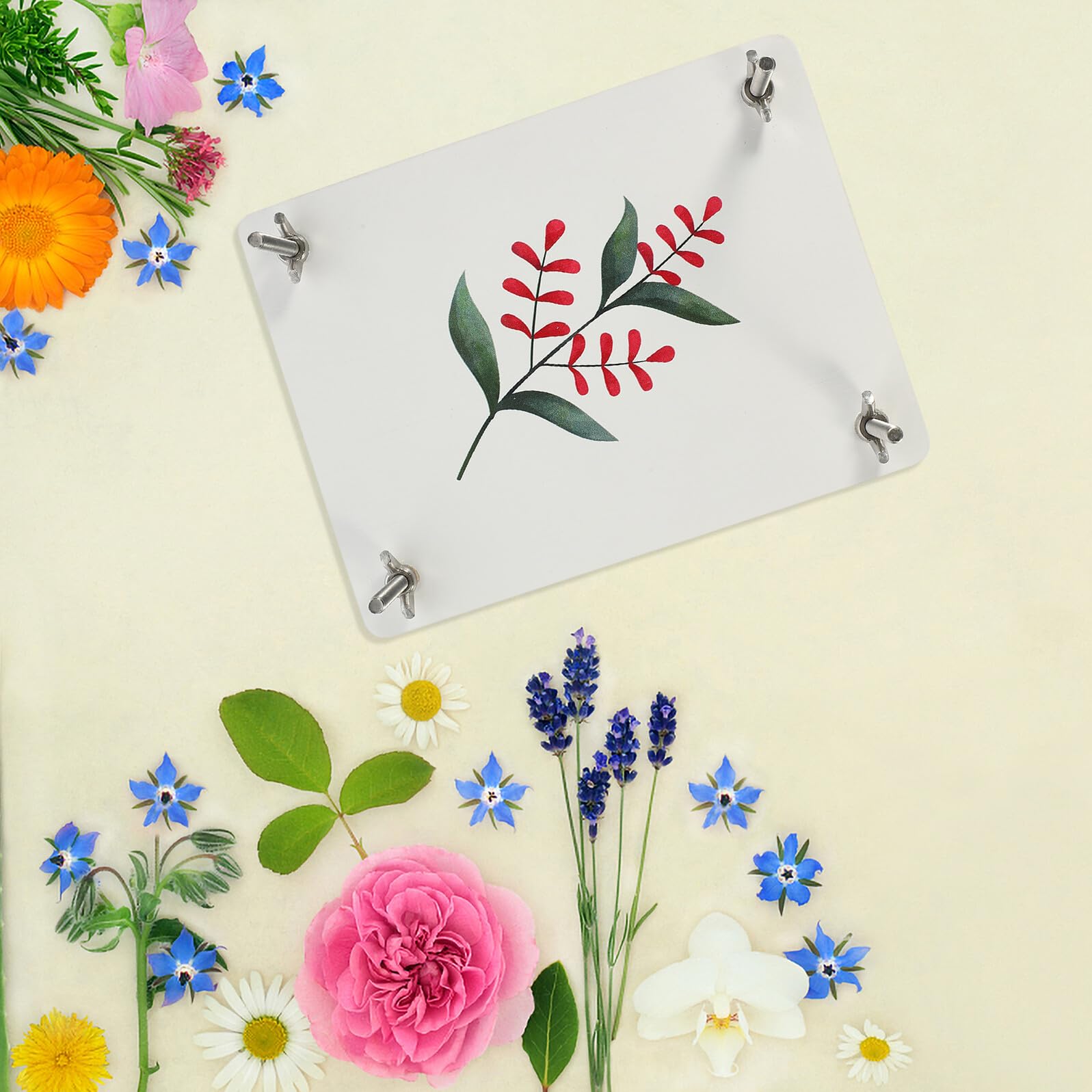 CORHAD Pflanzenblumenpresse Holz zum Pressen Getrockneter Blumen und Blätter Selbstgemacht Kunst aus Gepressten Blumen Geeignet für Hochzeitskarten und Familiendekoration