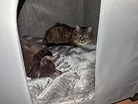 Review Image by hausofroxx