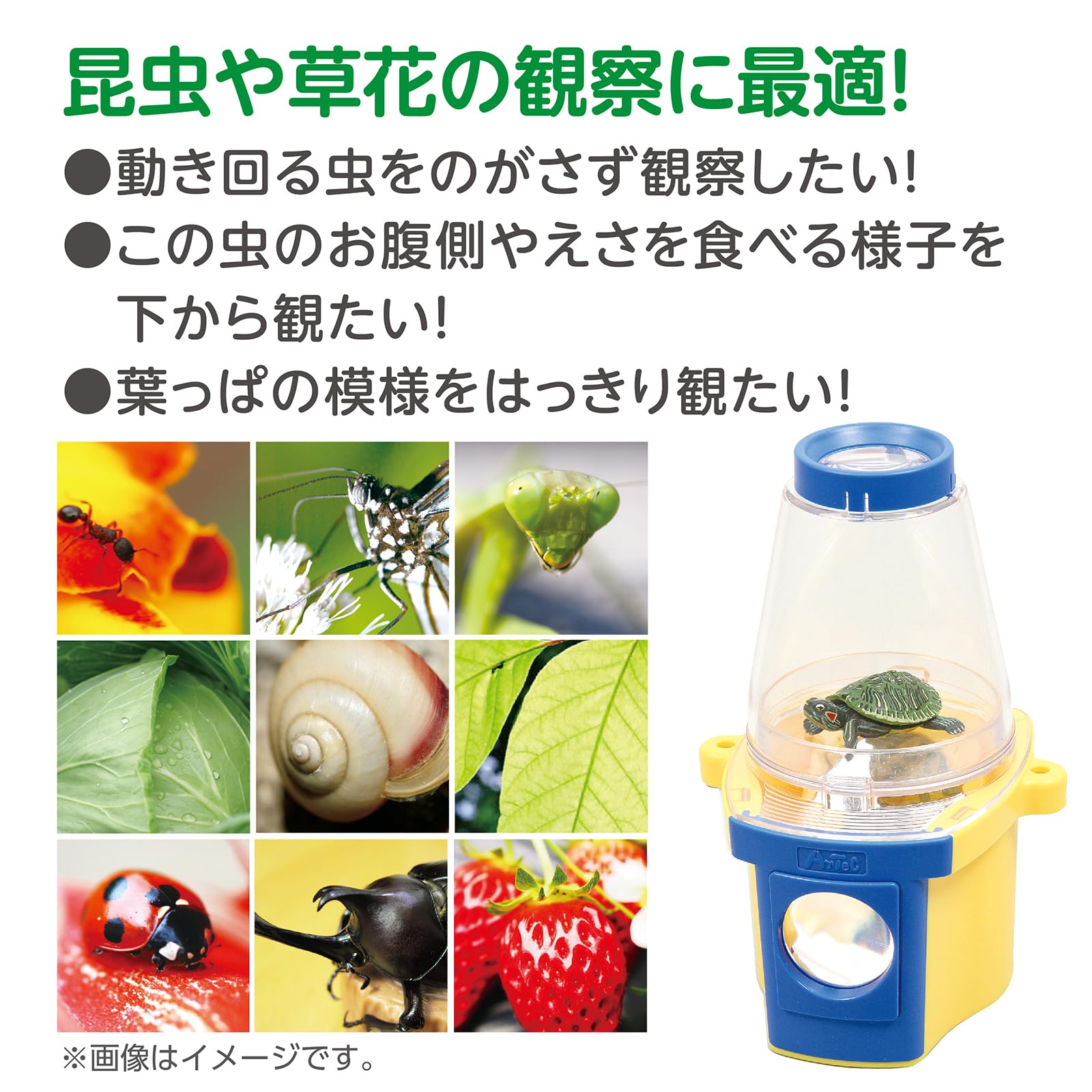観察セット Amazon | アーテック まるみえダブル観察器 008246 | 生態・採集