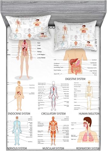 Miniatura 201 de Ambesonne Juego de sábanas bajeras y fundas de almohada, diseño retro de los videojuegos con botones de joystick vintage de los años 80 y 90, diseño