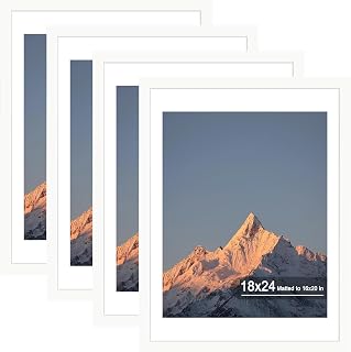 18x24 Wood Picture Frame Set of 4, Wall Mount for Home Decor, White