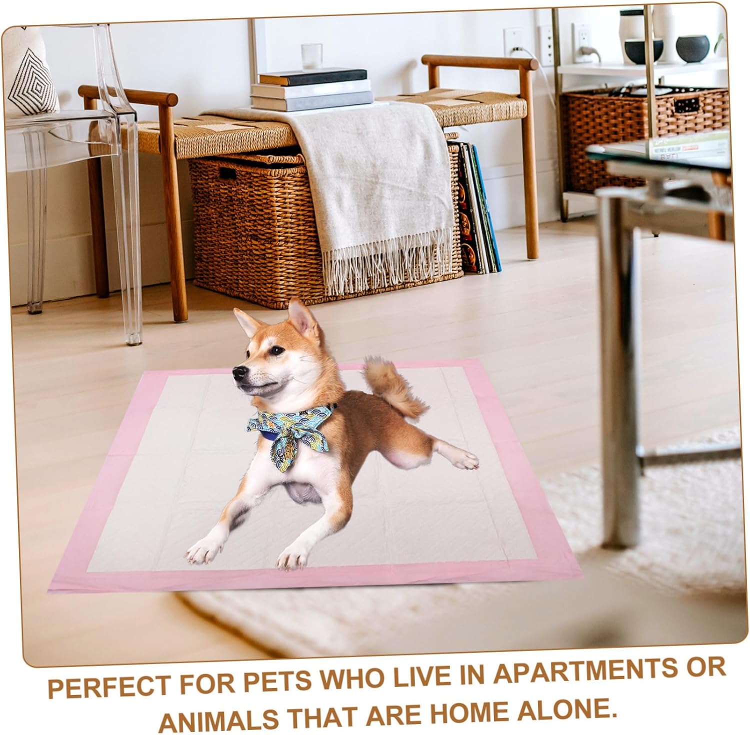 Instant Absorbent Pet Training Mats Non-Woven Pet Supplies for Puppies Dogs