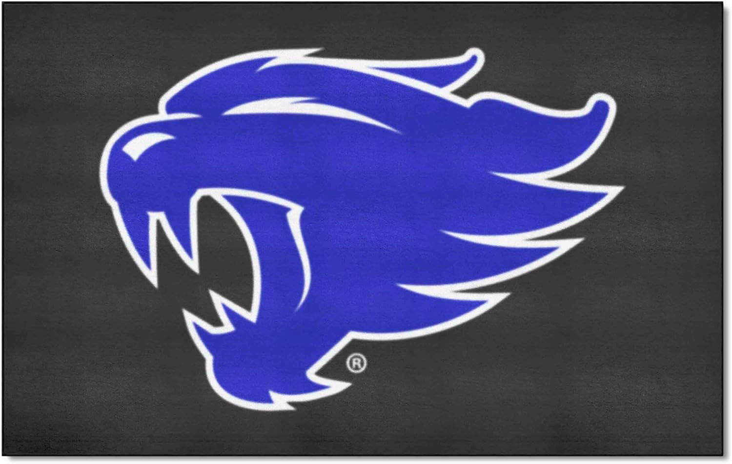 FANMATS 35726 Kentucky Wildcats Ulti-Mat Rug - 5ft. x 8ft.| Sports Fan Area Rug, Home Decor Rug and Tailgating Mat