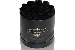 Long Lasting Preserved Roses for Your Eternal Love