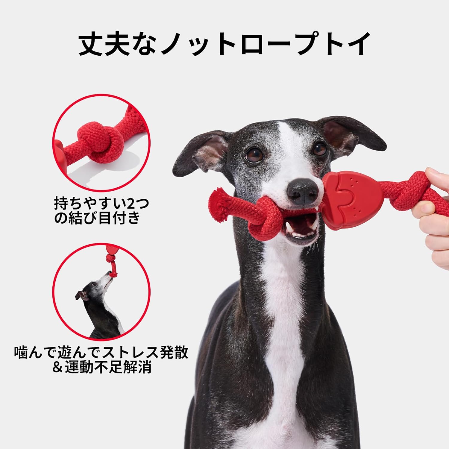 VETRESKA 犬用ロープおもちゃ 歯のクリーニング用噛むおもちゃ 引っ張りっこトイ 退屈しのぎに最適 タフなロープトイ 噛み癖の強い犬用 子犬の歯固めおもちゃ（苺、オレンジとコーヒー） thumbnail 2
