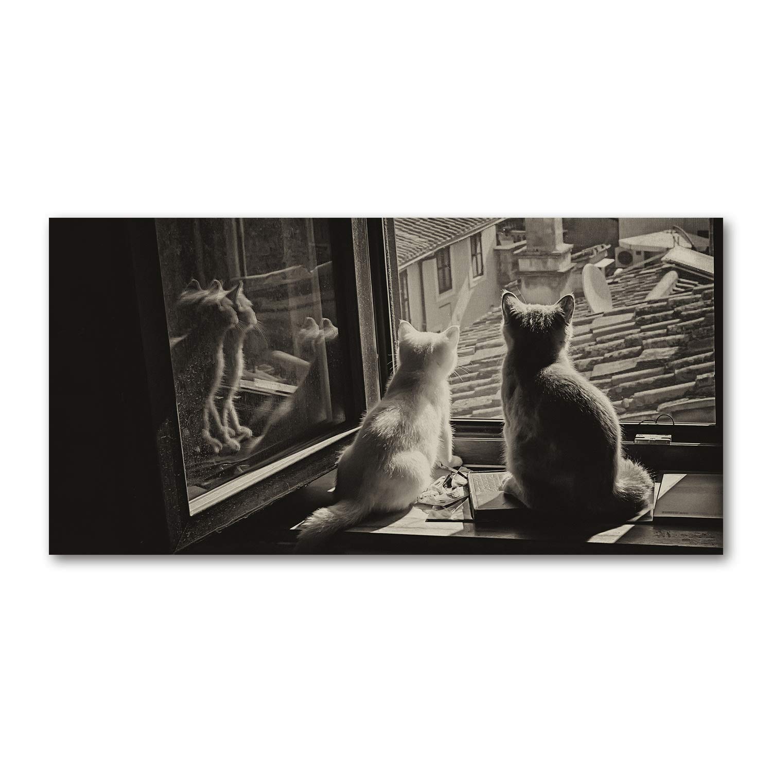 Image tableau photo de chat noir et blanc décoration murale salon cuisine 120x60 cm
