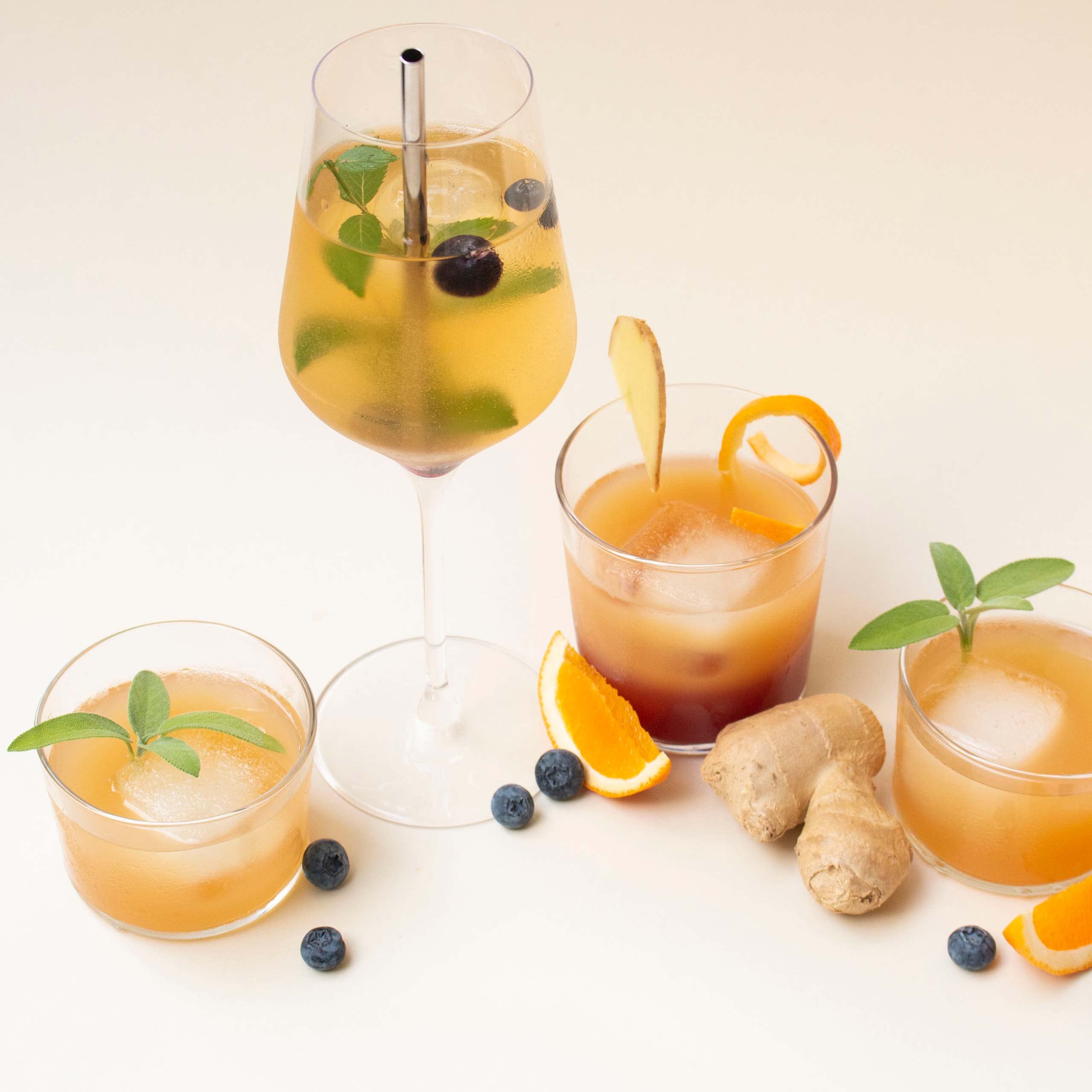 fairment Starterkit Kombucha - Das lebendige Getränk einfach selbermachen - Starter Set mit Bio Kombuch a Pilz (SCOBY), Glas, Zutaten, Zubehör und Rezepten - Kombucha Tee selbst machen