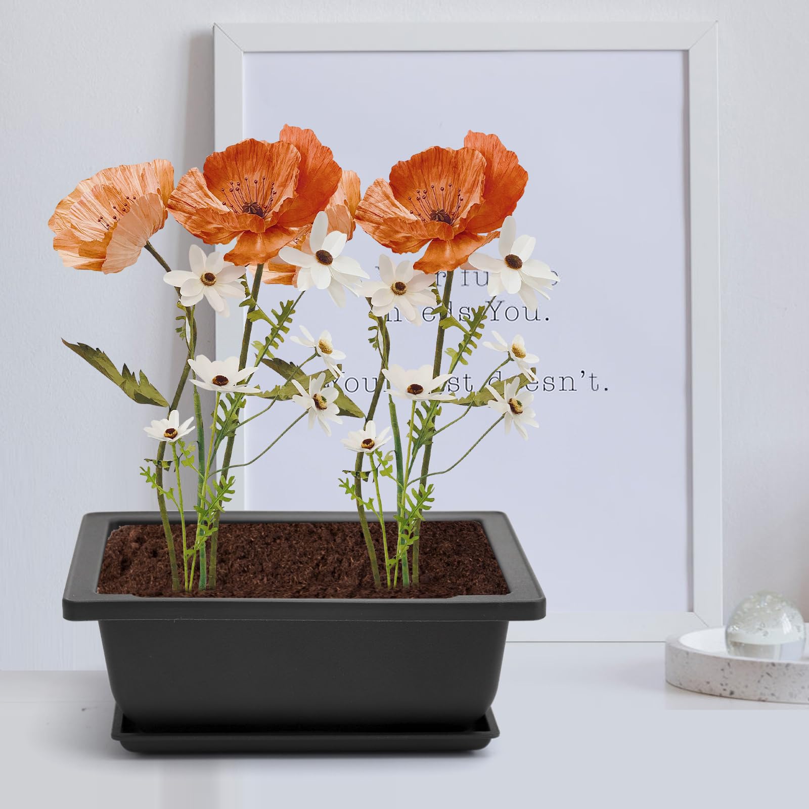 APOMOONS 6 misek bonsai z podstawką i małym zestawem narzędzi ogrodowych, 16,5 x 12 x 6 cm, donica bonsai, wielokrotnego użytku, donica na rośliny, do ogrodu, biura, salonu, na balkon