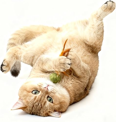 Miniatura 6 de 5 piezas de juguetes de hierba gatera ideal para estimular el ejercicio y la interacción de los gatos