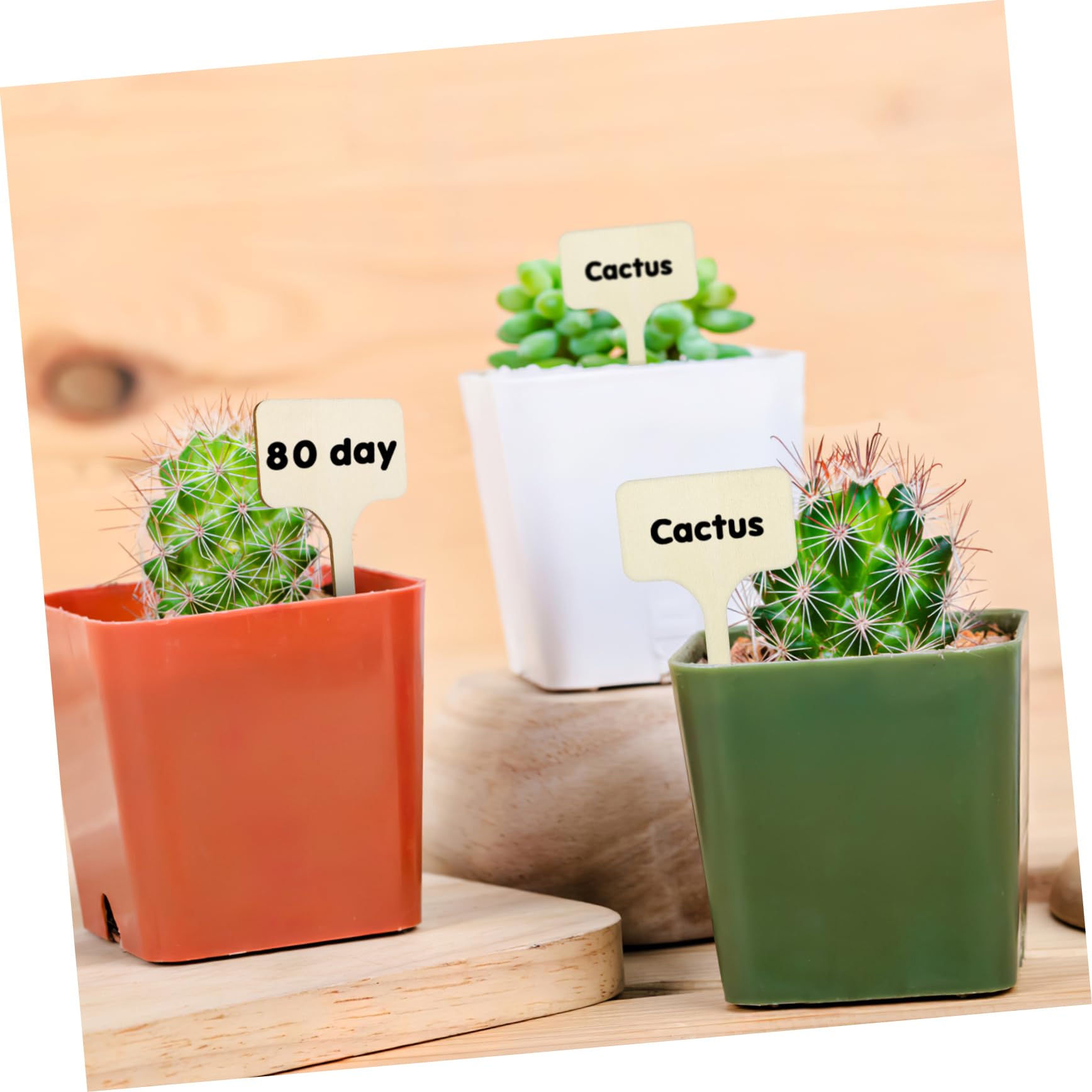 POPETPOP Lot De 4 Étiquettes De Plantes De Jardin En Bois Pour Marqueurs De Plantes D'extérieur 50 Pièces X 4
