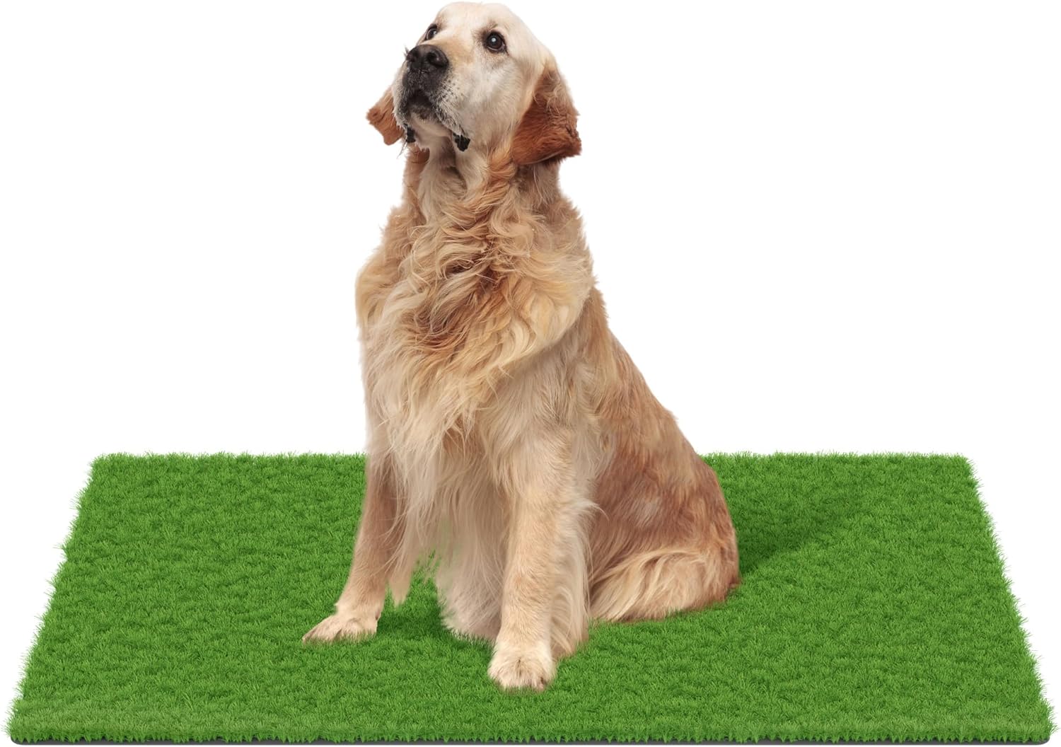 MAYSHINE Fake Grass for Dogs, Artificial Turf Grass Indoor Outdoor, Mat for Dogs Soft Blades, Cesped Artificial for Patios, Dog Astro Turf for Balcony, Quick Clean, Easy Rinse Patio Rug, 59"x36"