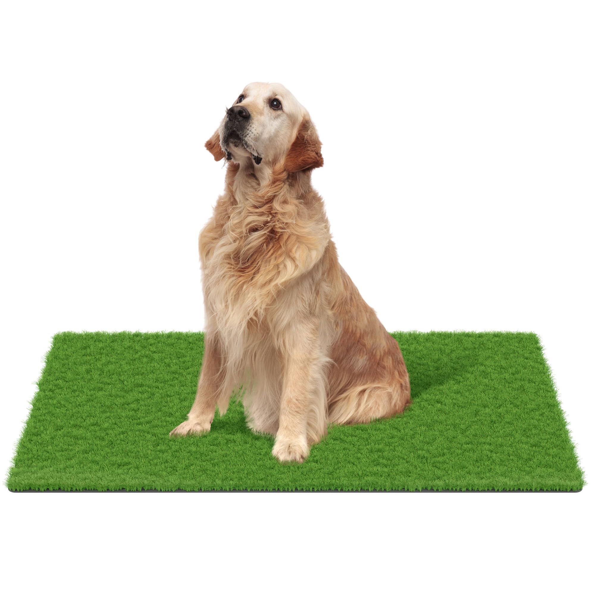 MAYSHINE Fake Grass for Dogs, Artificial Turf Grass Indoor Outdoor, Mat for Dogs Soft Blades, Cesped Artificial for Patios, Dog Astro Turf for Balcony