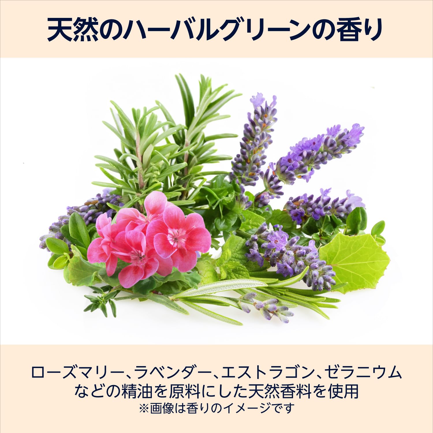 by Amazon パックスナチュロン ボディーソープ 泡タイプ 詰替用 900mL
