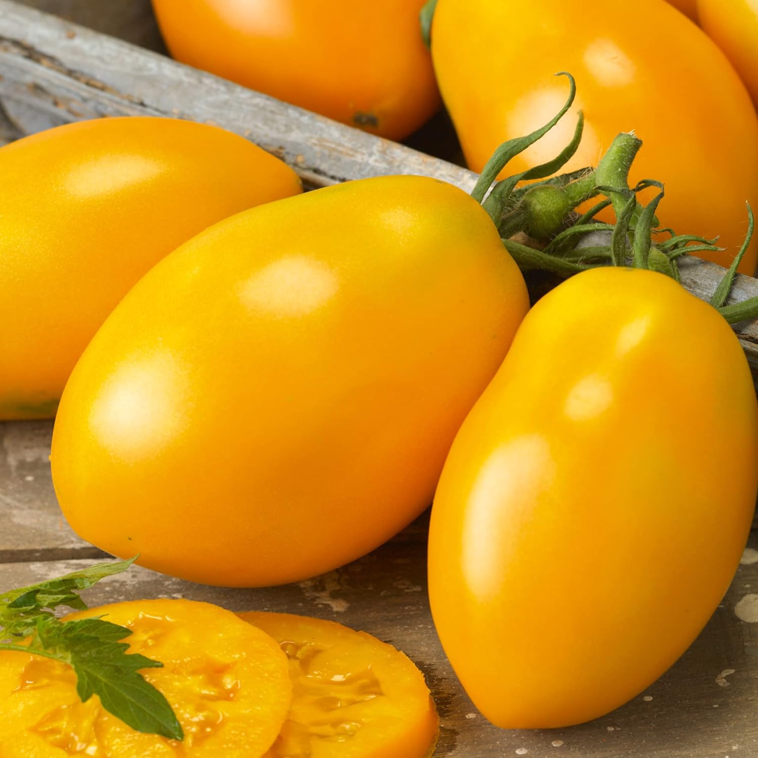Golden Roma Tomato Seeds - 1 Oz ~6800 Seeds - Non-GMO - Vegetable Garden - Solanum lycopersicum