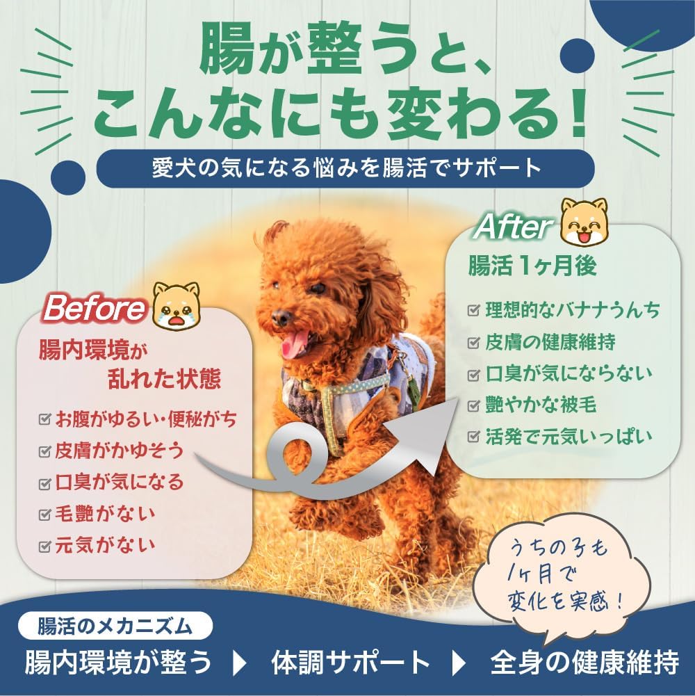Amazon | 犬用 腸活サプリ お試し 7包 [食いつき確認に] MY DEAR