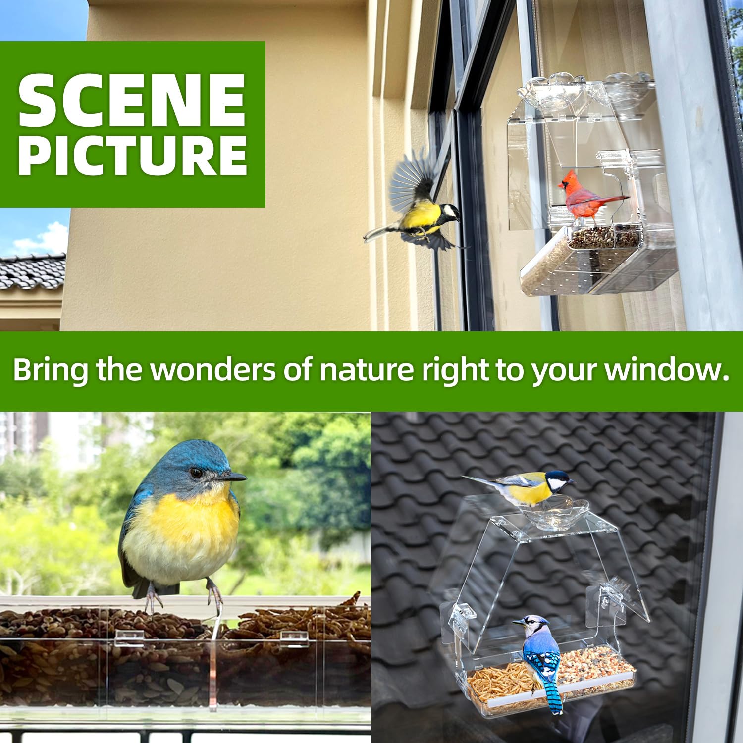 WENMIXER Comedero para pájaros con ganchos autoadhesivos que no dejan marcas, transparente y transparente, regalo de observación de aves silvestres al aire libre, decoración de jardín (casa)