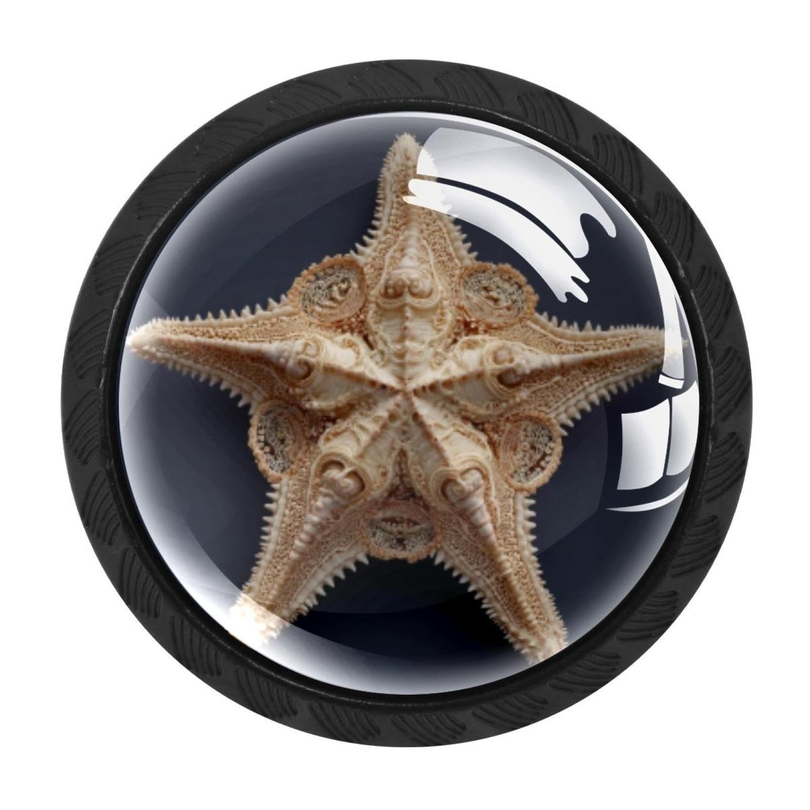 CHENZZZZ 4 Pieces Black Cabinet Pull Handle with Screws,Seashell Starfish (1) Kitchen Knobs, Hardware for Cupboard Drawer Dresser