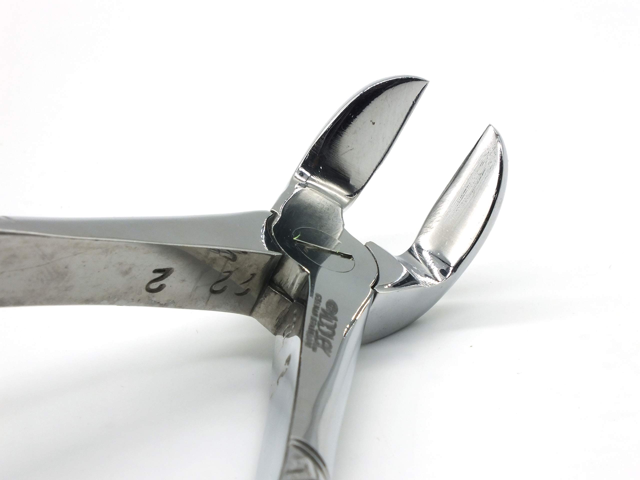 ADDLER DENTAL LOWER ROOT SHEARING SERRATED FORCEP NO 56. LIFE TIME ANTI RUSTING WARRANTY. (B08KH99WXQ) Amazon Price History, Amazon Price Tracker