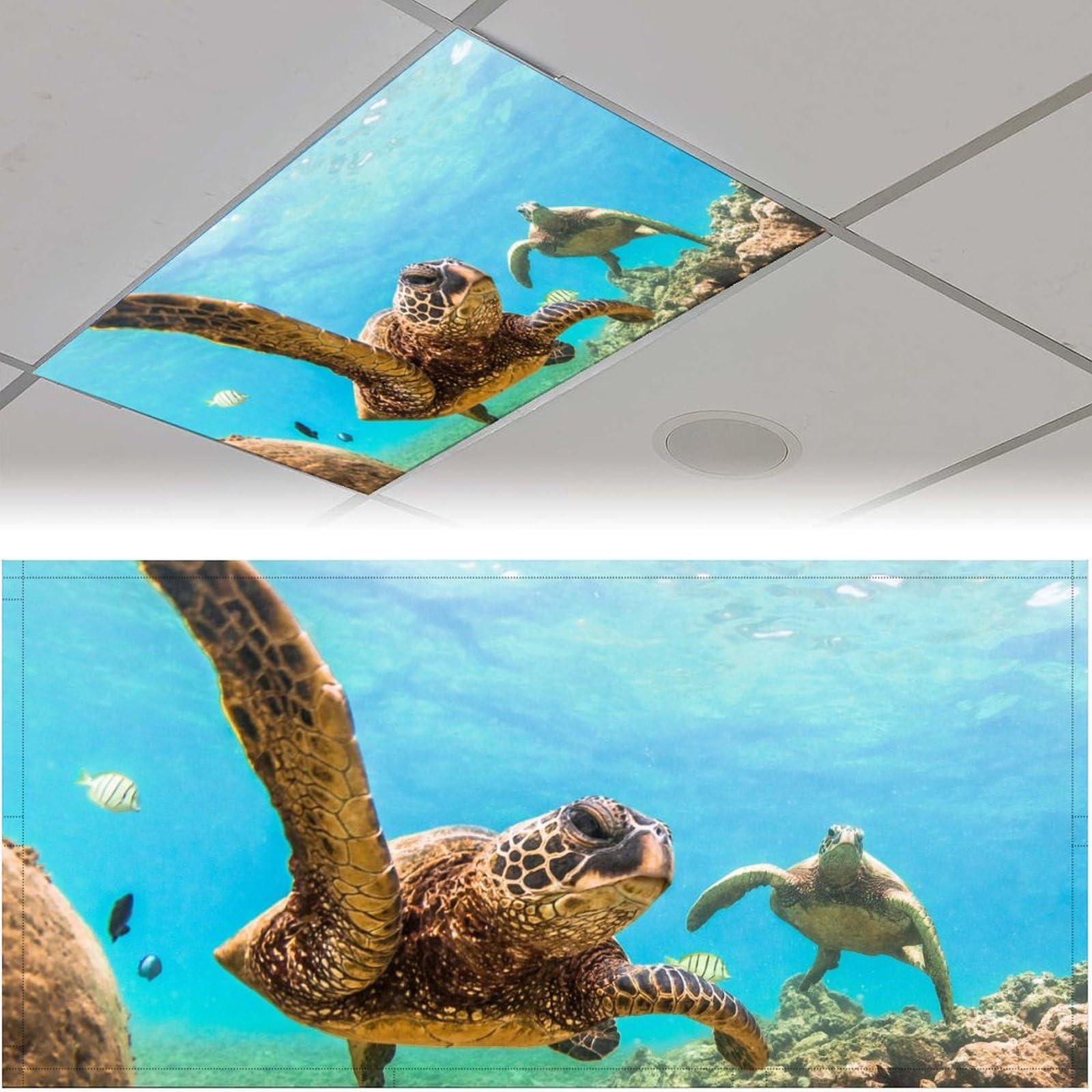 2 Pack Fluorescent Light Cover for Ceiling Light Classroom-Sea Turtle Magnetic Light Cover Fluorescent Light Shade Panel, Decorative Film Filter for Reducing Harsh Glare Home Decorations
