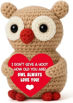 Owl Crochet Birthday Gift, Handmade Mini Owl with Heart Card for Wife Husband or Mom, Funny Crochet Romantic Anniversary Idea, Family Appreciation Present, Christmas Valentines Day Stocking