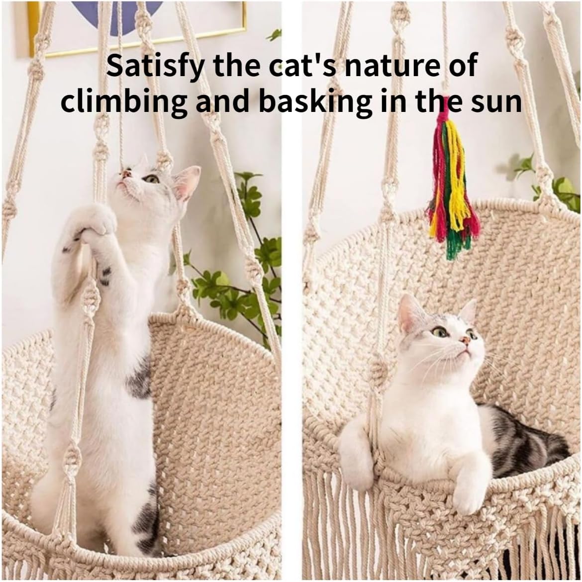 review Cat Hammock Cat Wall Furniture Hanging Cat Bed for Indoor Cats Boho Cat Swing Bed for Sleeping, Playing, Climbing, and Lounging (Small)