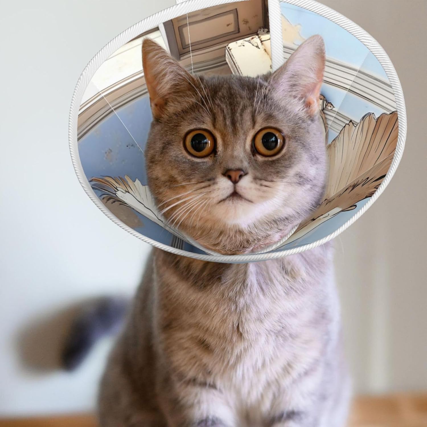 Custom Pet Cones - Unique Design Cat & Dog Cone, Collar for Post-Surgery Recovery, Adjustable Neck Pigeons in The Bedroom Large