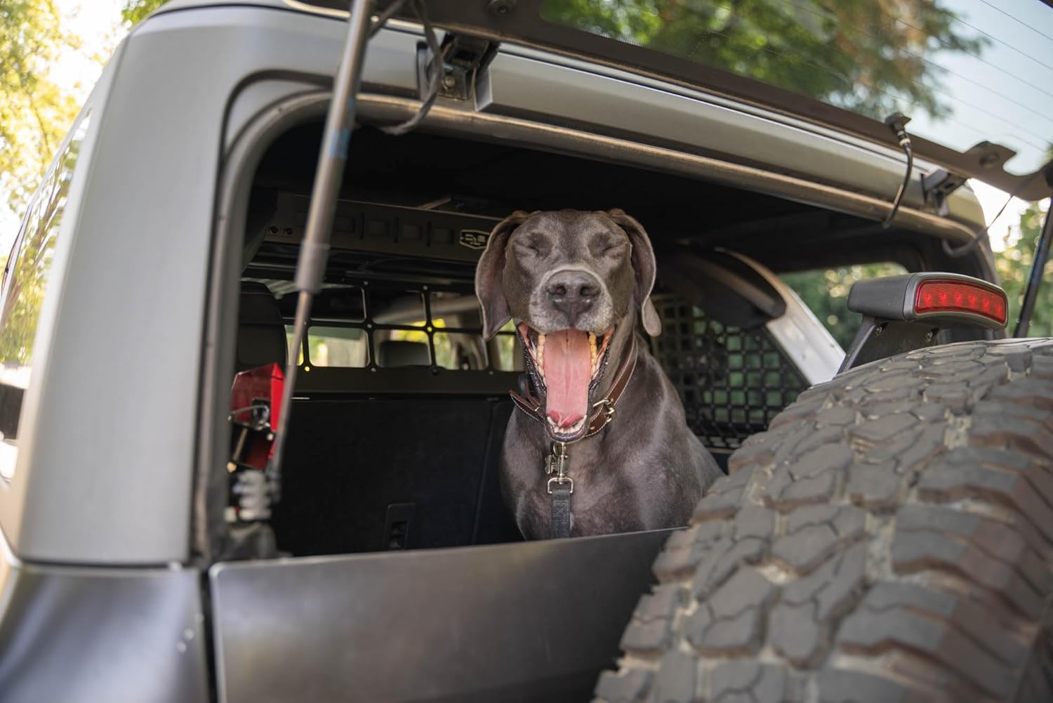 DV8 Offroad Dog Barrier for 2021-2025 Ford Bronco | Convenient Flip-Up Design | Push Button Locks | Rubber Isolators for Noise Reduction | Hardtop and Soft Top Compatible | Black Powder Coat | Steel