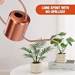 Le pot d'arrosage des plantes, 50 oz / 1500 ml Acier inoxydable Métal - Décoratif moderne avec une longue épanchement pour les plantes en pot intérieur, Bonsai, Fleurs de jardin, Cuivre