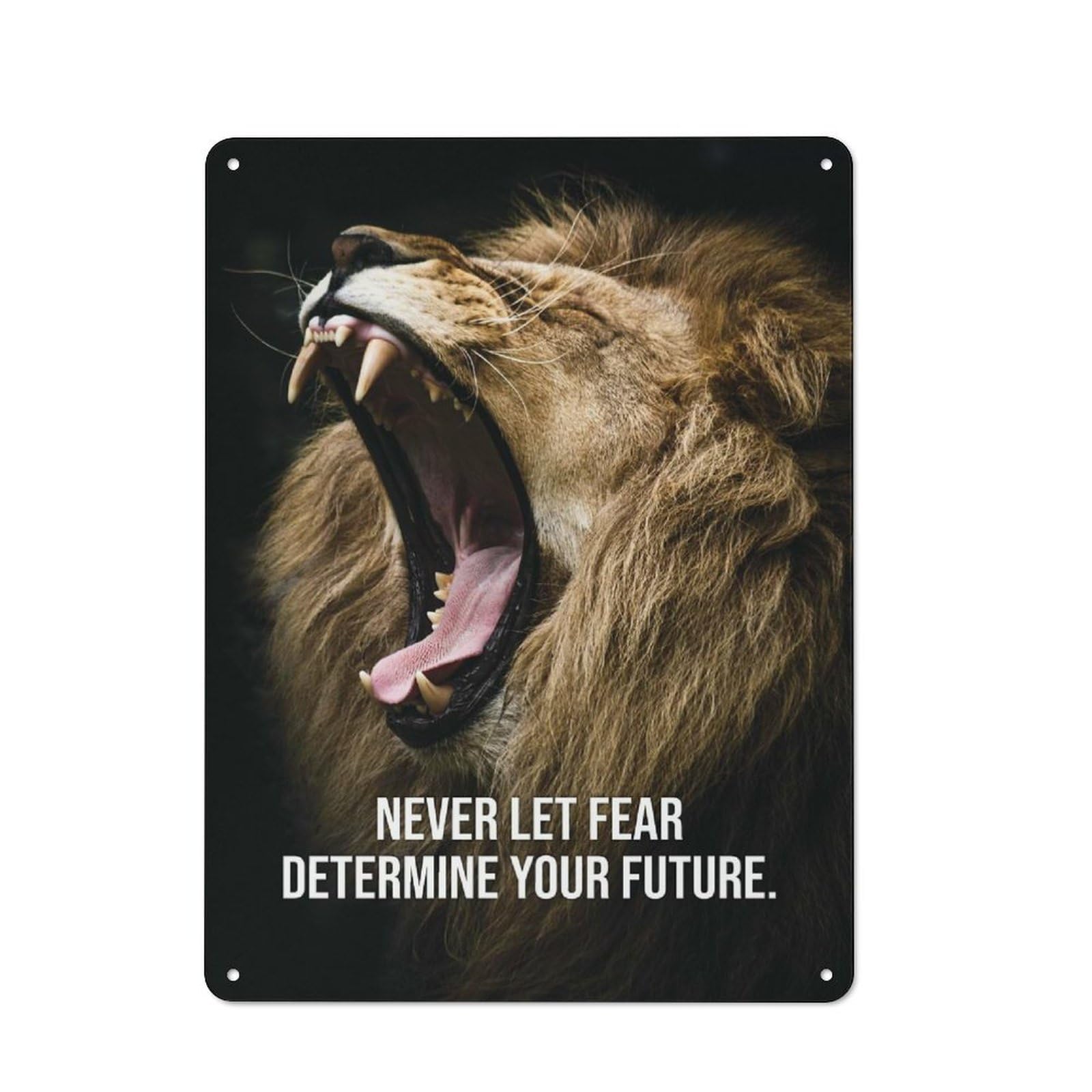Junmoney Style 40X30cm Retro Tin Sign With Fear For Lounge Or Reading Corner, A Decorative Metal Sign For Lounges And Reading Corners