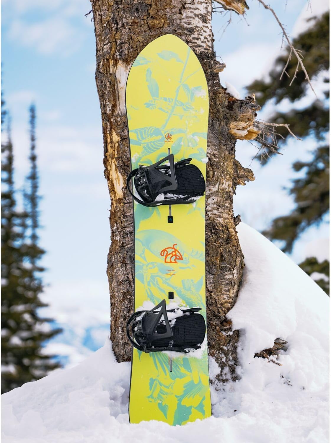 Burton Family Tree Sketch Artist Camber Snowboard 2026