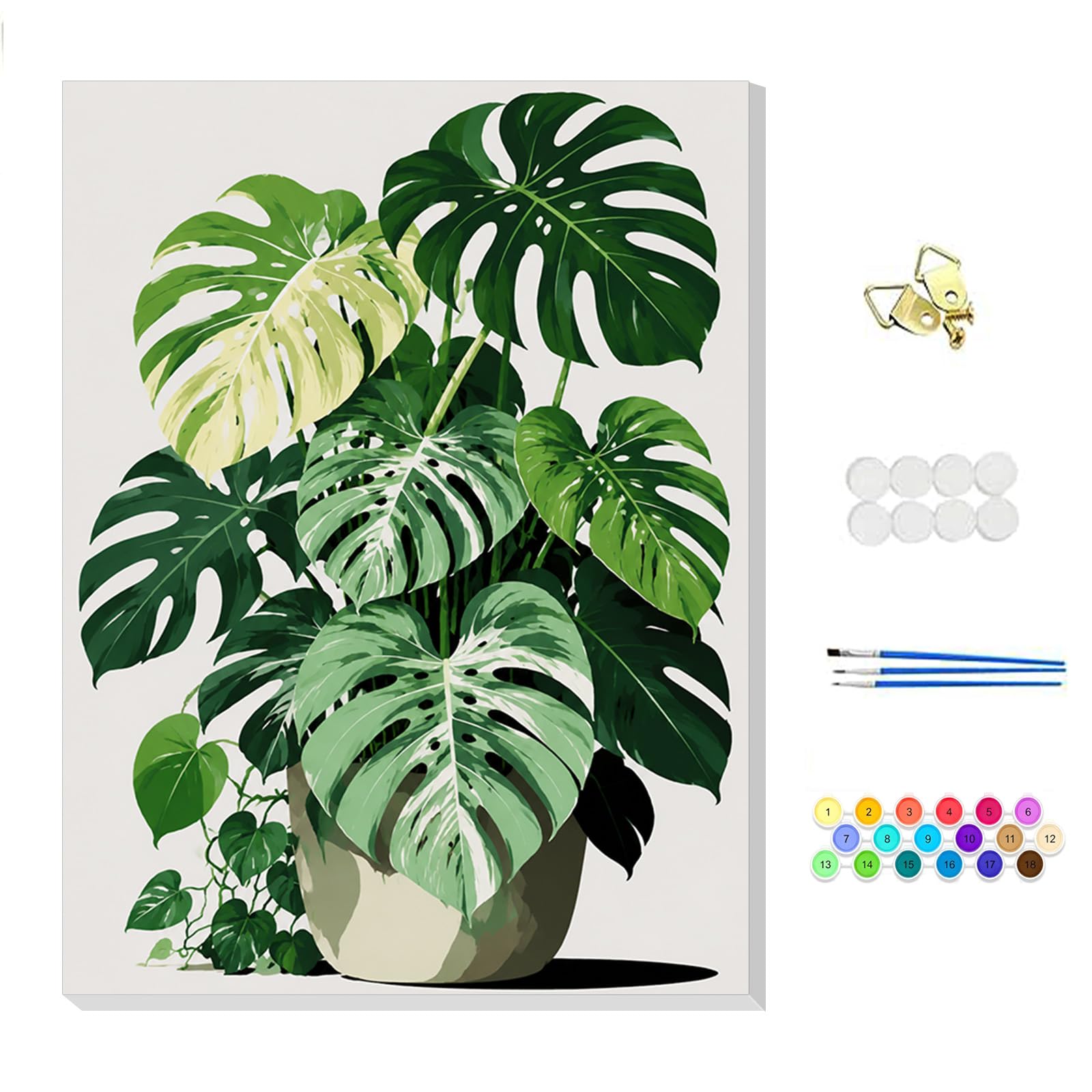 NEWENMO Green Plants Paint by Numbers for Adults with Frame 20x30cm