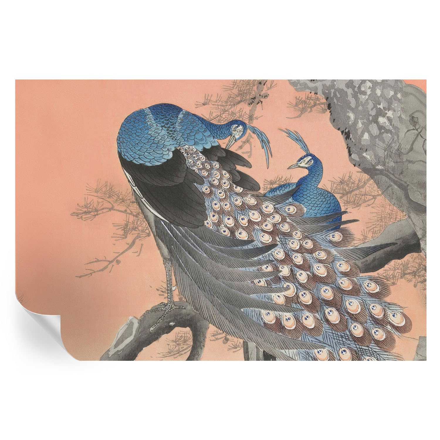 Papel pintado dormitorio pavo real 152x104 cm mural autoadhesivo decorativo