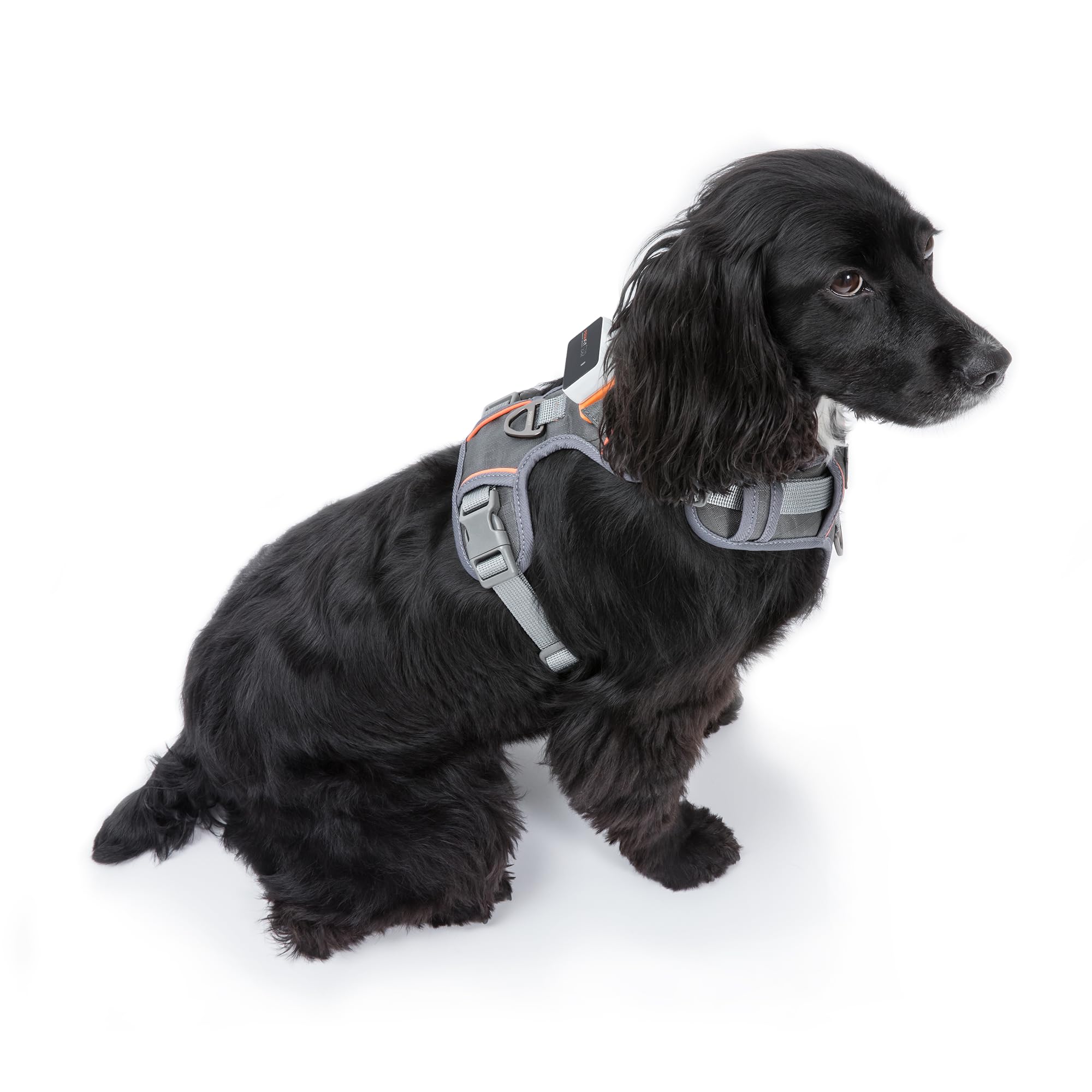 Pawfit Szelki z serii 3 dla średnich psów, bez ciągnięcia, z 2 klipsami do smyczy, regulowane, miękkie, wyściełane, kamizelki dla zwierząt domowych, odblaskowe do treningu lub chodzenia