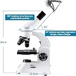 100X-2000X Microscopes pour les enfants Étudiants Adultes Débutants Microscope biologique puissant pour l'éducation à domicile de la School Lab, avec ensemble de diapositives de microscope, adaptateur de téléphone Plug-in