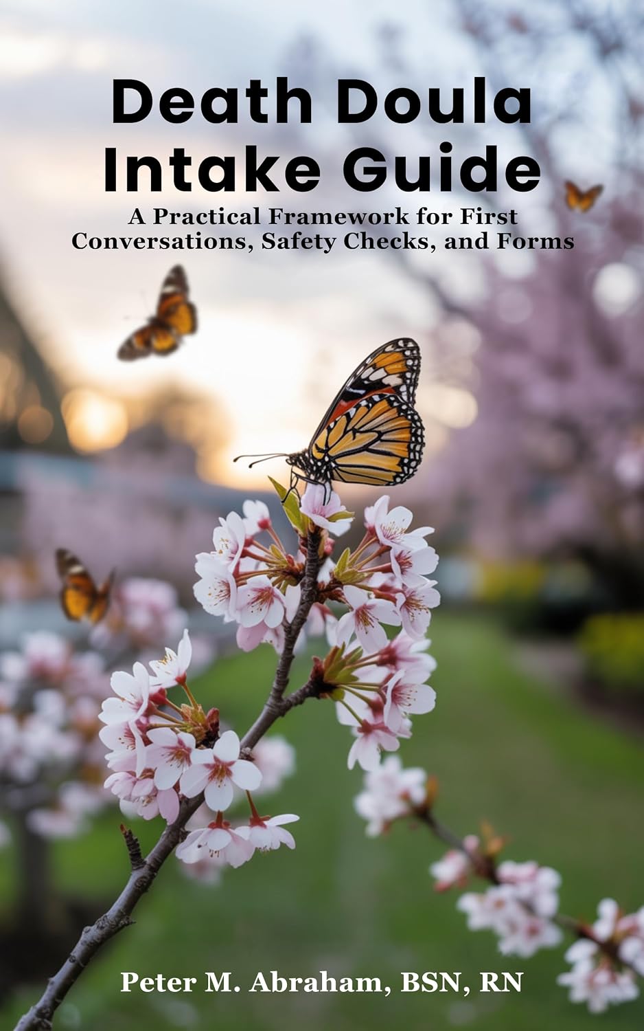 Death Doula Intake Guide: A Practical Framework for First Conversations, Safety Checks, and Forms (Bridges to Eternity: The Compassionate Death Doula Path Book 2)