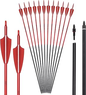Carbon Arrow Archery 30inch Hunting Target Practice Arrows for Compound & Recurve Bow Spine 500 with Removable Tips (Pack of 12)