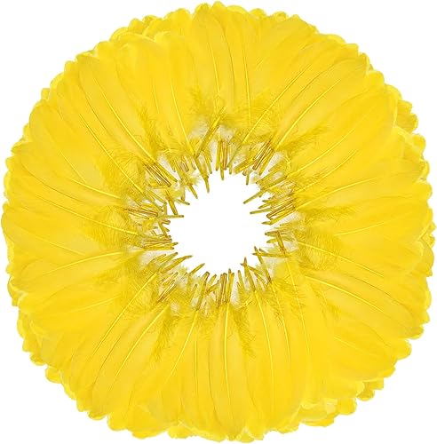 FeelfunFeather 120 plumas de ganso amarillas de 6 a 8 pulgadas, 5.9-7.9 in, decorativas, naturales, plumas de ganso Nagoire a granel para
