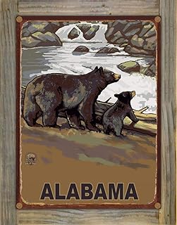 Northwest Art Mall Alabama Bear Cub Falls Rustic Metal Print on Reclaimed Barn Wood from Travel Artwork by Artist Paul A. Lanquist 8.5" x 11.5"