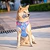 Product Photo 5