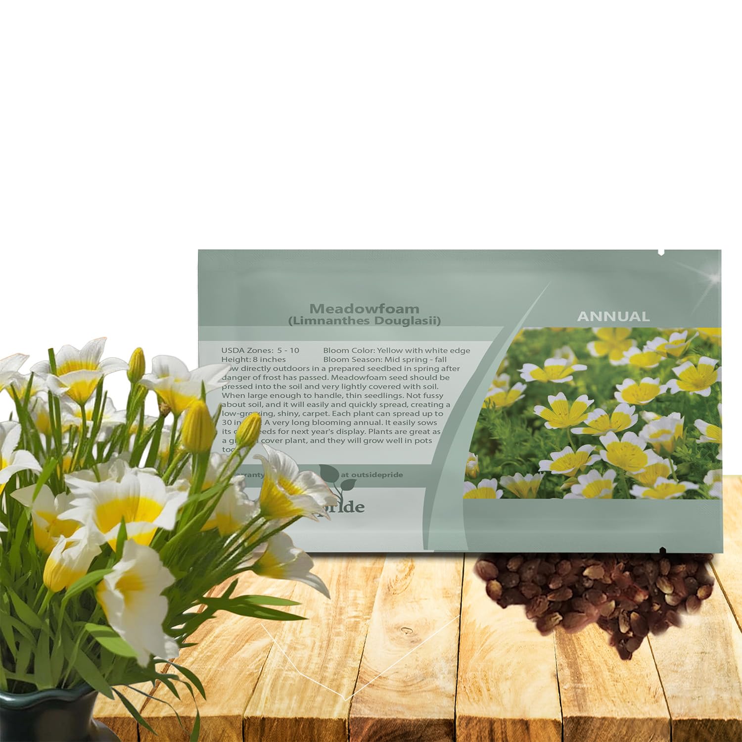 Outsidepride Meadowfoam Seeds - 1000 Pcs. Annual, Self-Seeding & Low Maintenance, Ground Cover Seeds for Planting Fragrant Yellow-White Blooms, Great for Gardens, Borders, & Container Displays