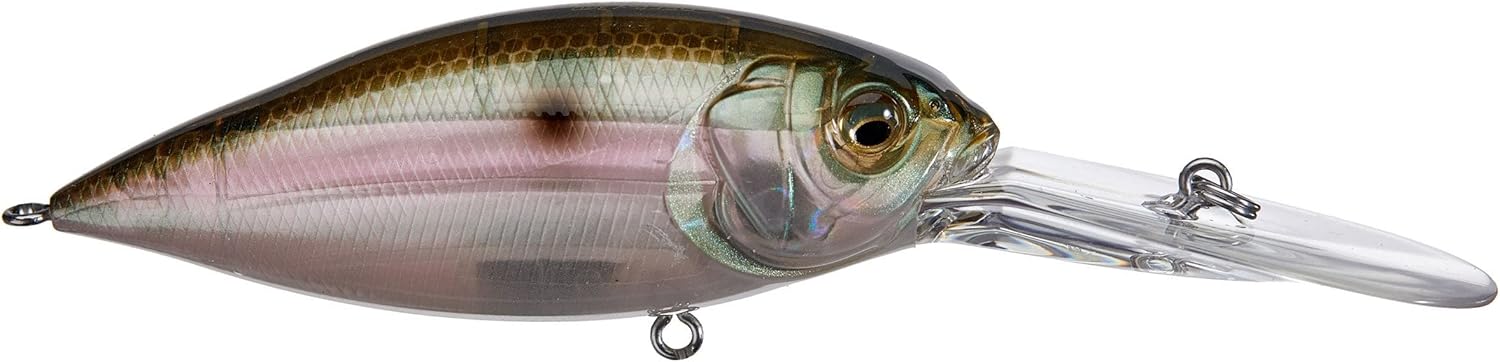 Megabass Deep-X 300 Extra Deep Diving Crankbait - MB Gizzard