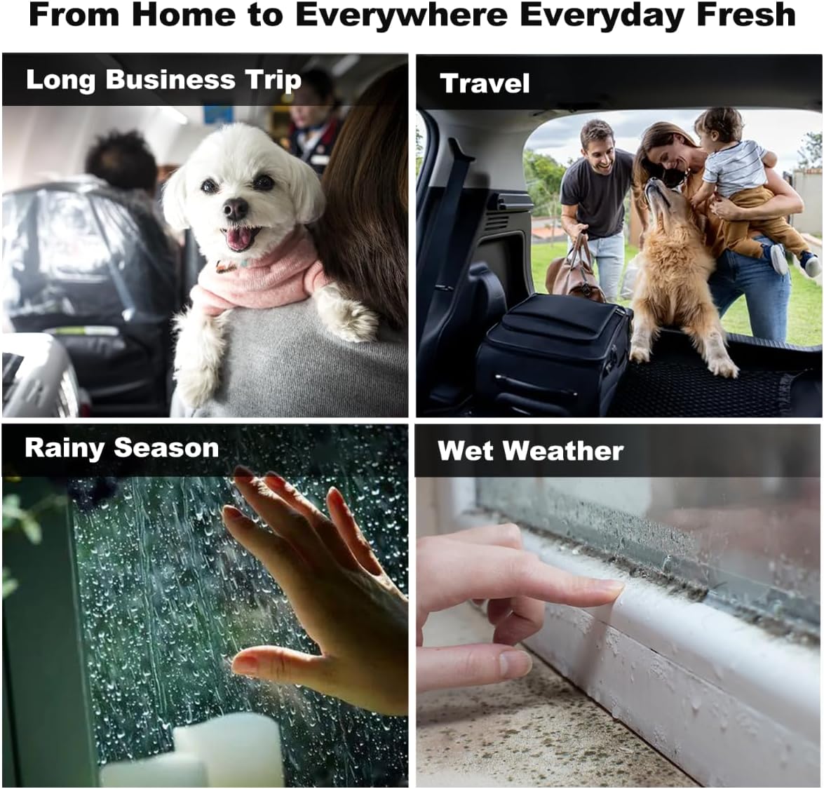 Automatic Monitor Vacuum Airtight Dry Dog Food Storage Container, Travel Pet Food Storage Containers with Lids, Desk Cat Bin Good Containers 10L